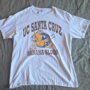 Gildan Light Gray UC Santa Cruz Banana Slugs Short Sleeve Tee